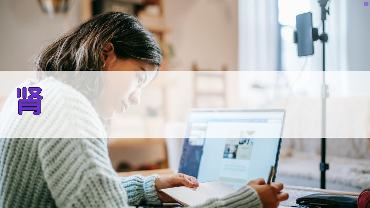 AI“肾-胞宫”理论构建与应用生成器