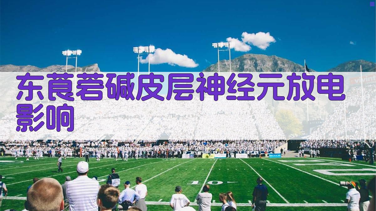 东莨菪碱皮层神经元放电影响
