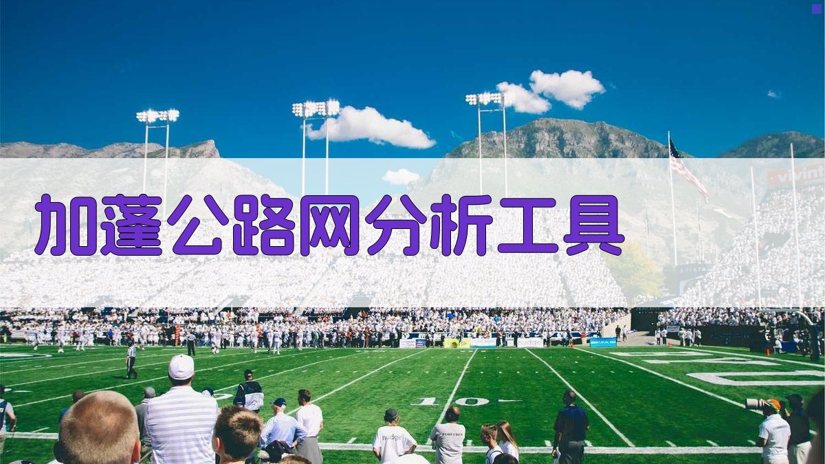 加蓬公路网分析工具