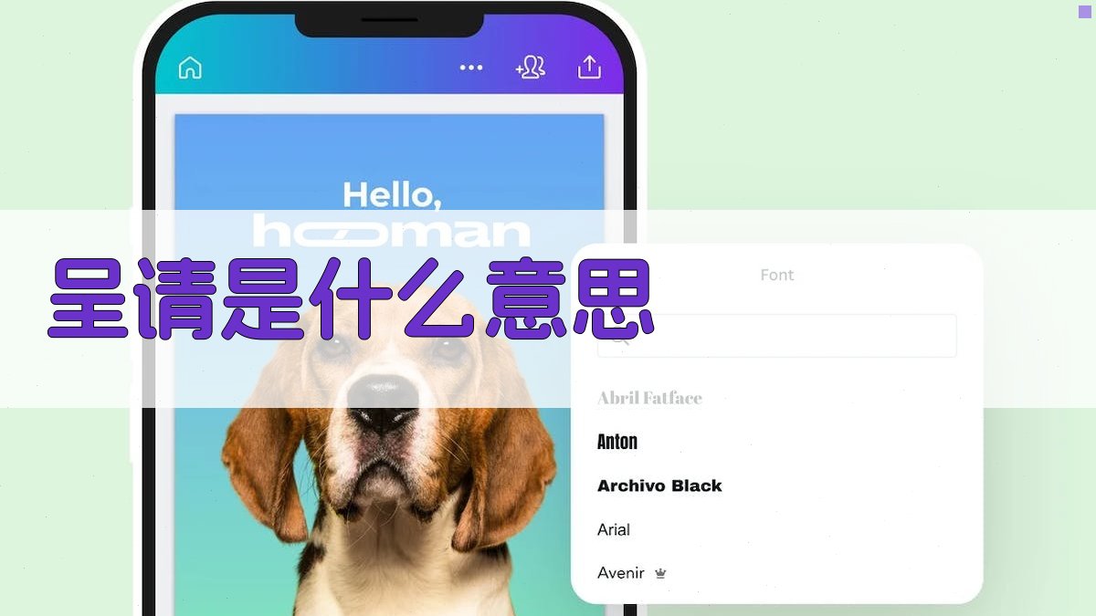 呈请是什么意思
