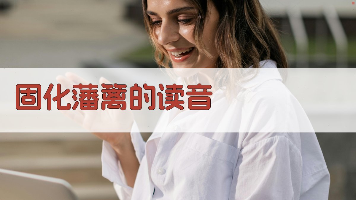 固化藩篱的读音