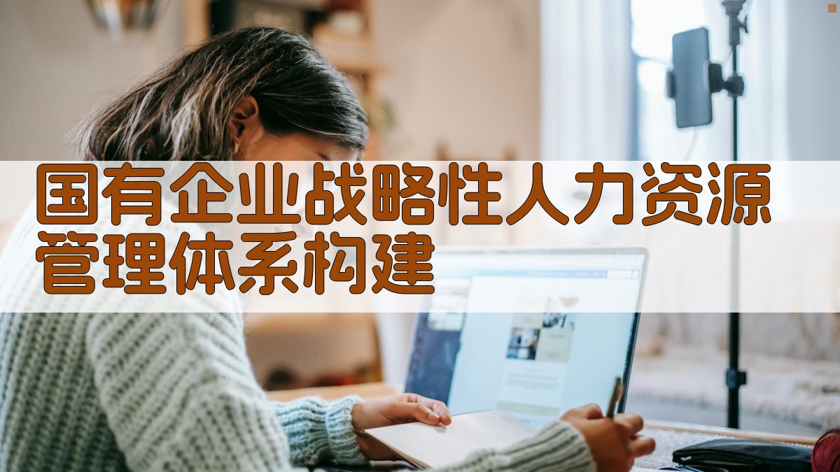 国有企业战略性人力资源管理体系构建