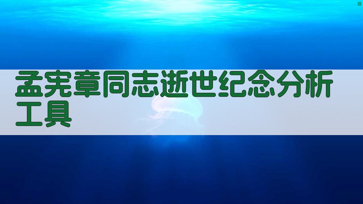 孟宪章同志逝世纪念分析工具