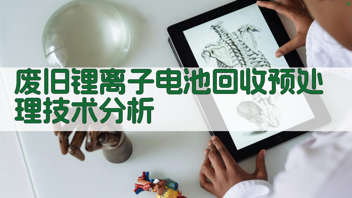 废旧锂离子电池回收预处理技术分析