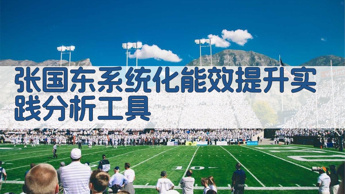 张国东系统化能效提升实践分析工具