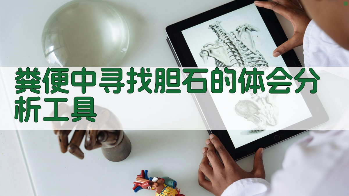粪便中寻找胆石的体会分析工具