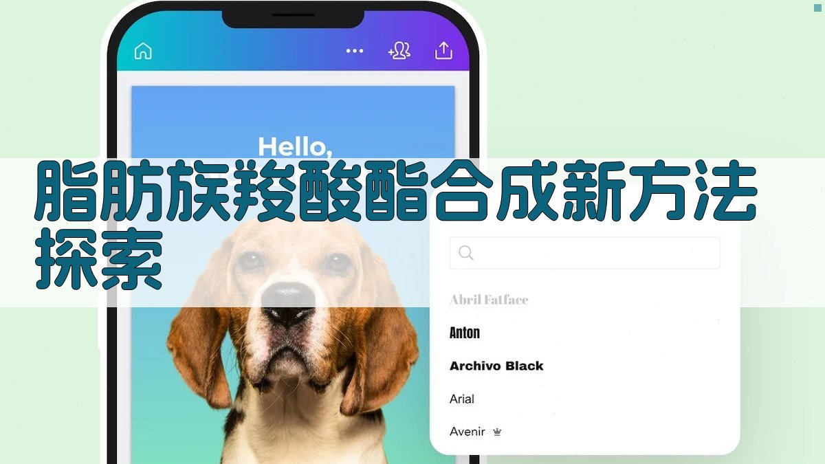 脂肪族羧酸酯合成新方法探索