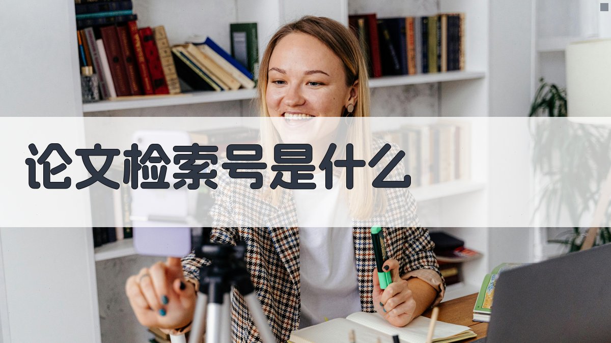 论文检索号是什么
