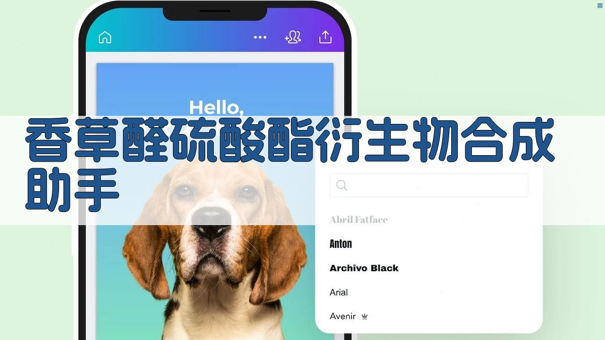 香草醛硫酸酯衍生物合成助手