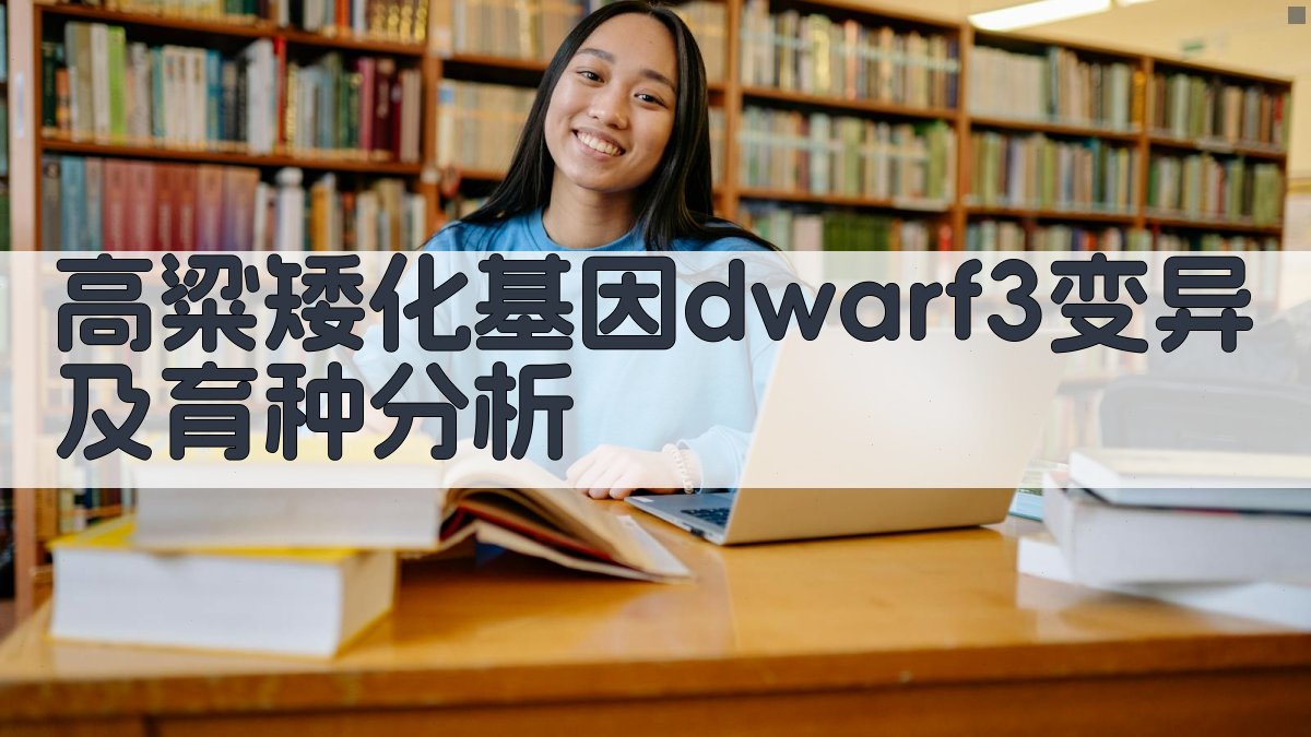 高粱矮化基因dwarf3变异及育种分析