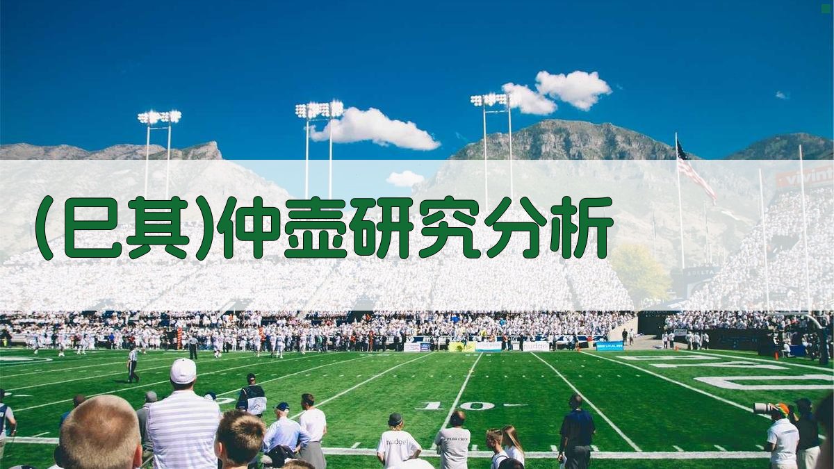 AI智能(巳其)仲壶研究分析