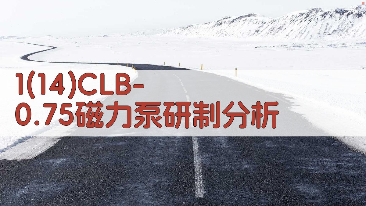 1(1/4)CLB-0.75磁力泵研制分析