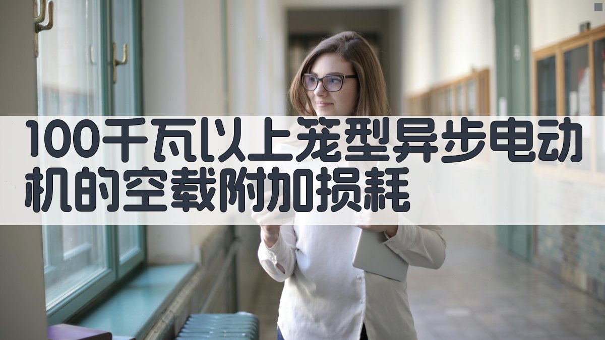 AI计算100千瓦以上笼型异步电动机的空载附加损耗