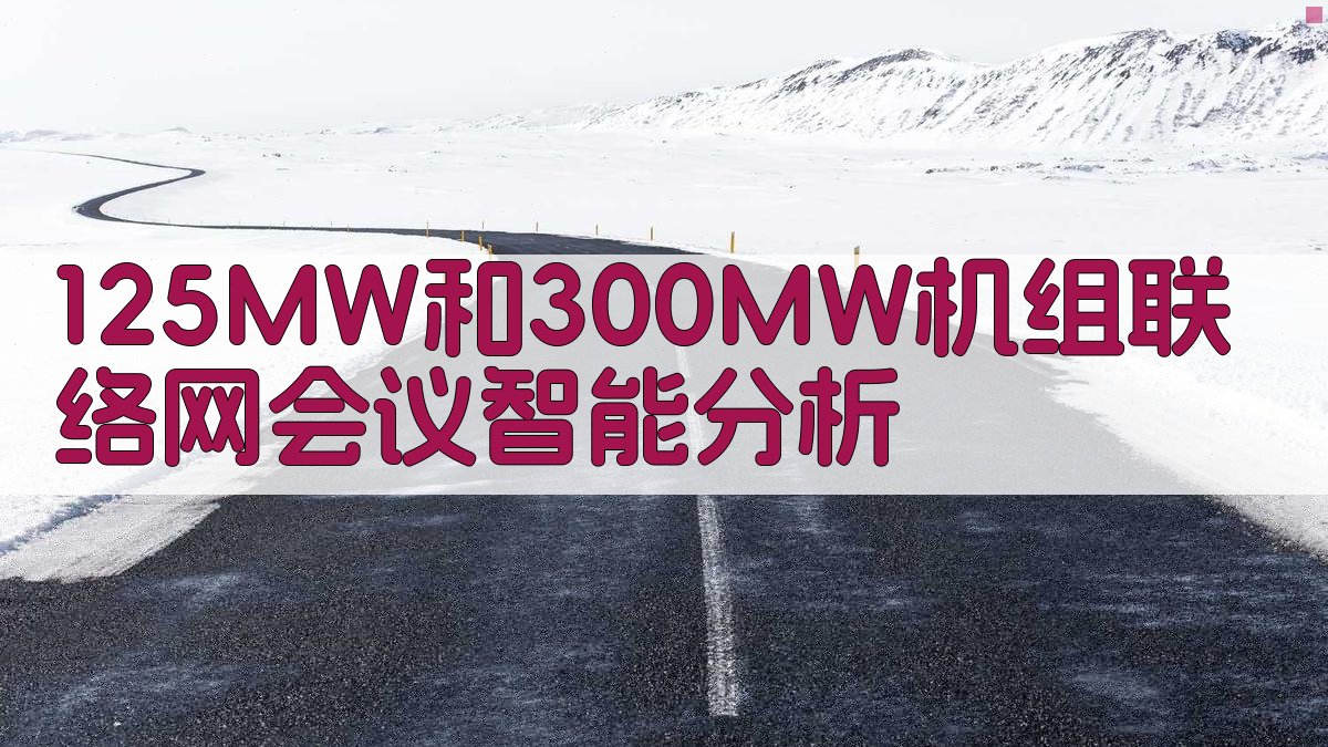 125MW和300MW机组联络网会议智能分析