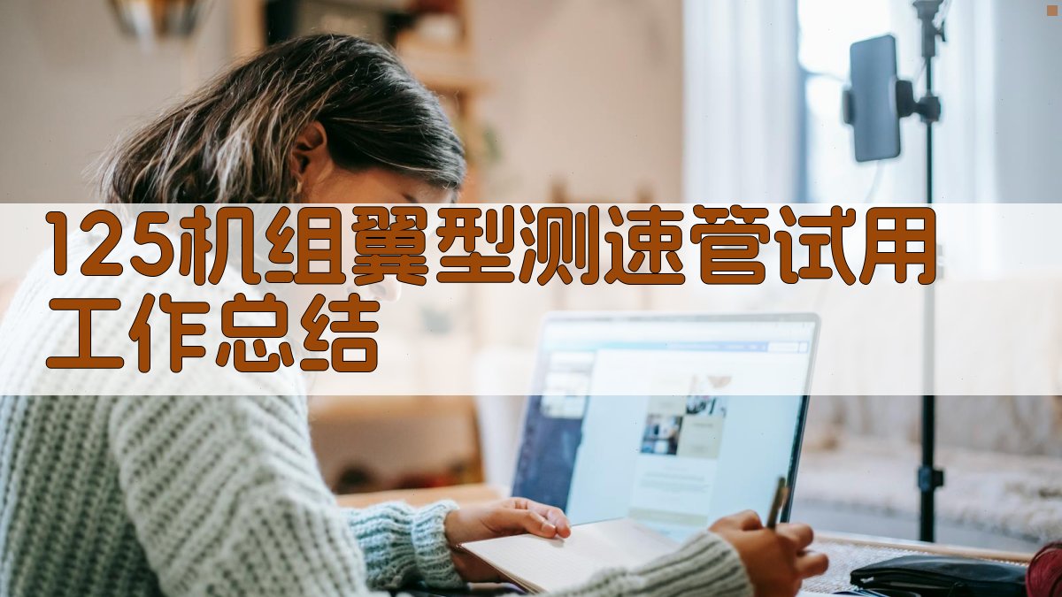 125机组翼型测速管试用工作总结
