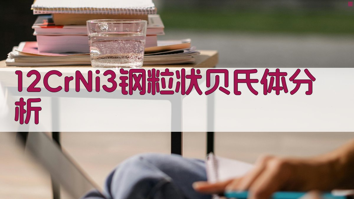 AI 12CrNi3钢粒状贝氏体分析器