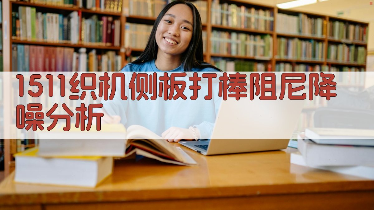 1511织机侧板打棒阻尼降噪分析