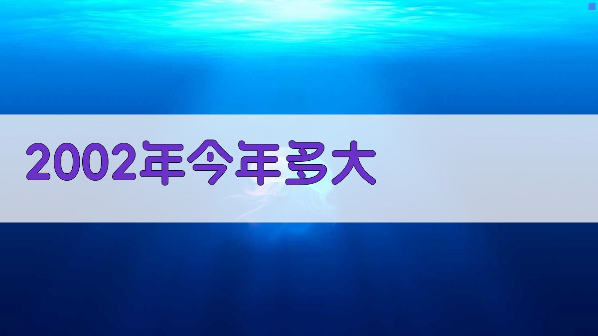 2002年今年多大