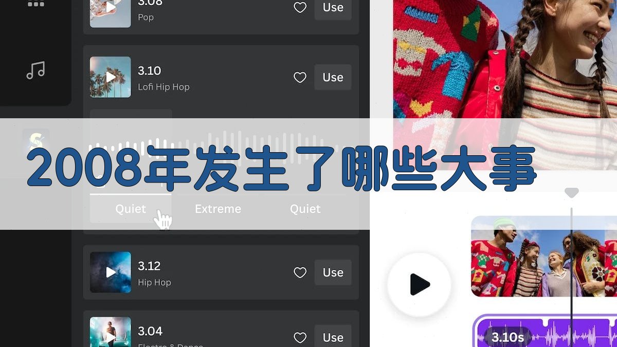 2008年发生了哪些大事