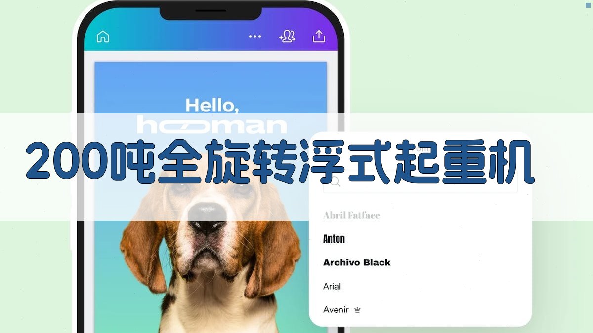 200吨全旋转浮式起重机分析