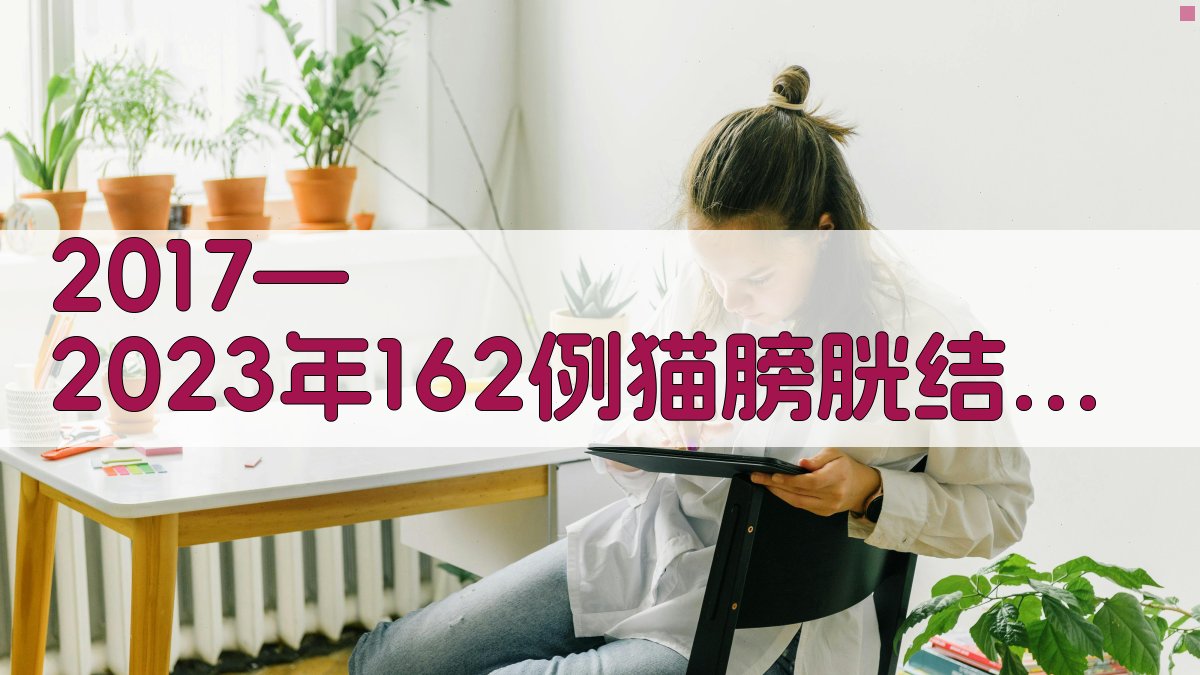 猫膀胱结石病例分析