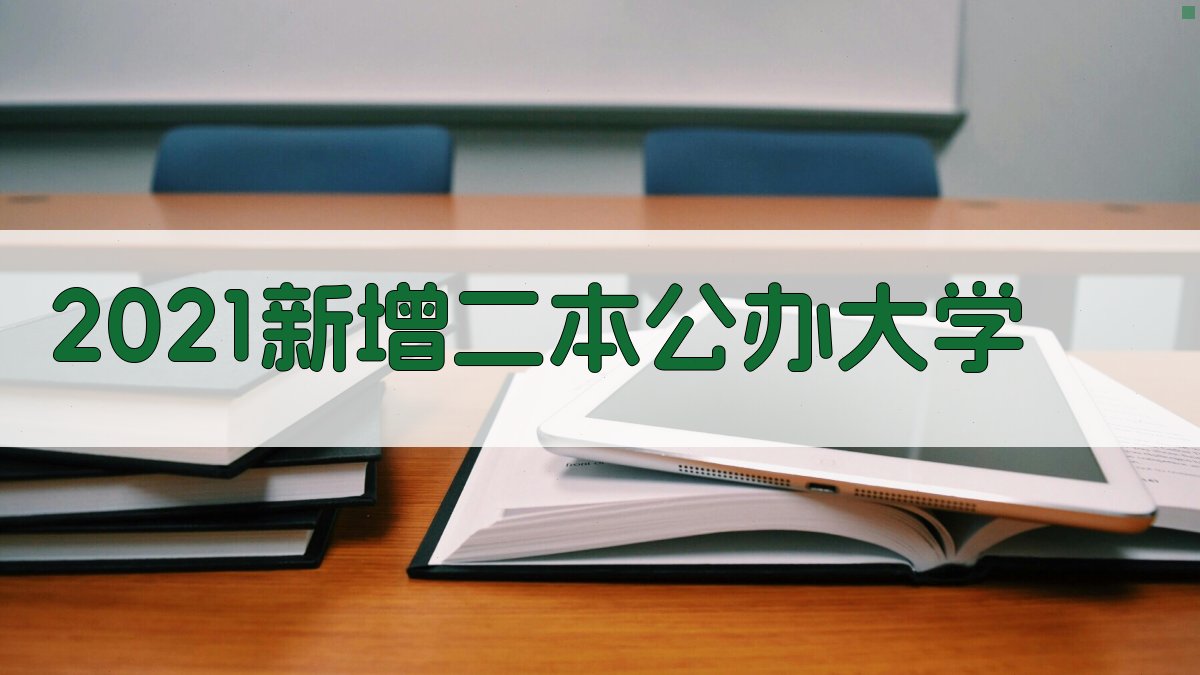 2021新增二本公办大学