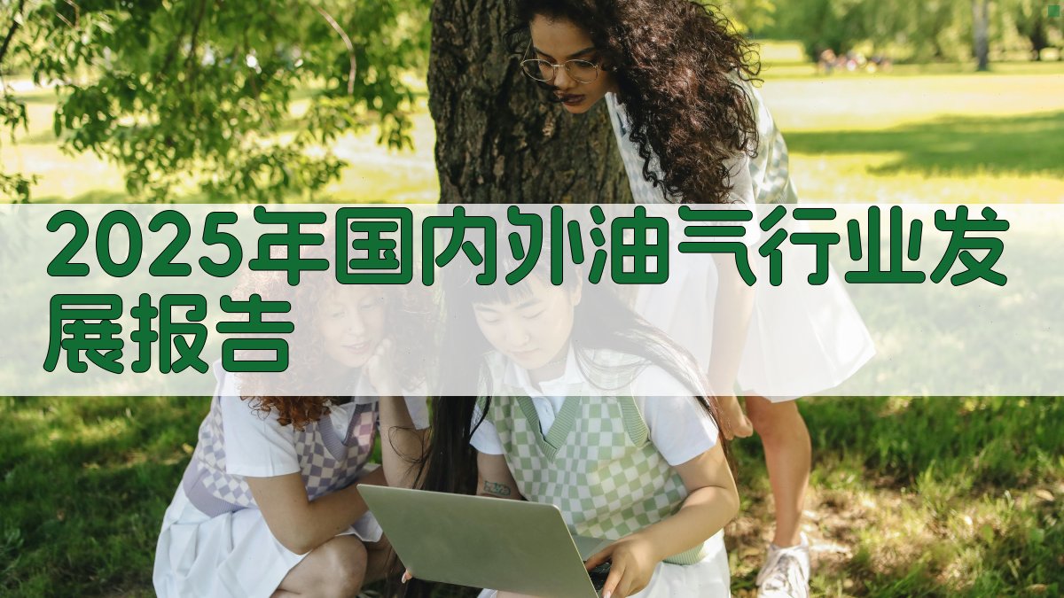 2025年国内外油气行业发展报告