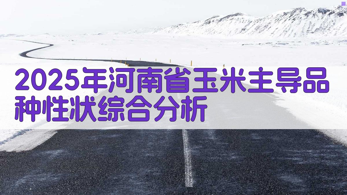 2025年河南省玉米主导品种性状综合分析