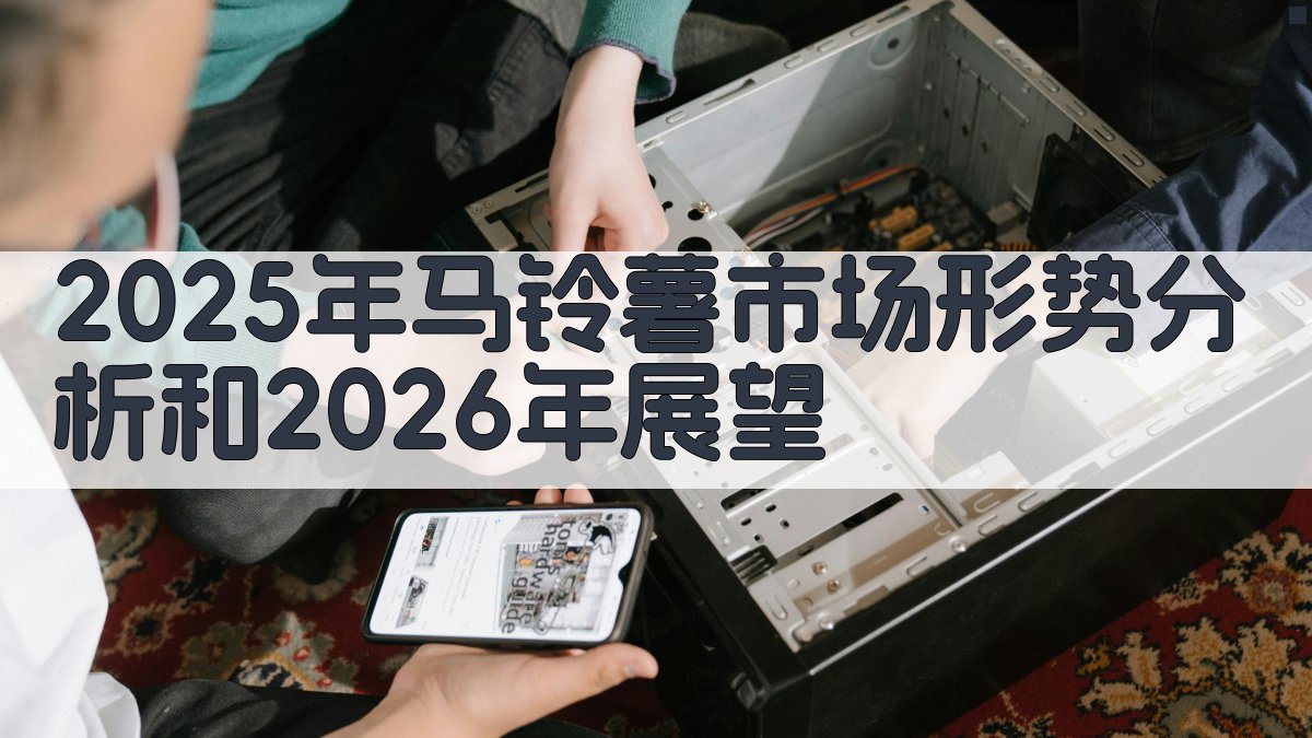 2025年马铃薯市场形势分析和2026年展望