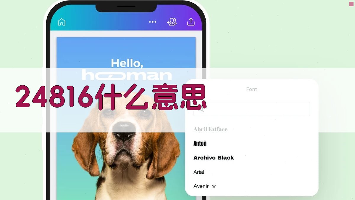 AI数字代码含义解析