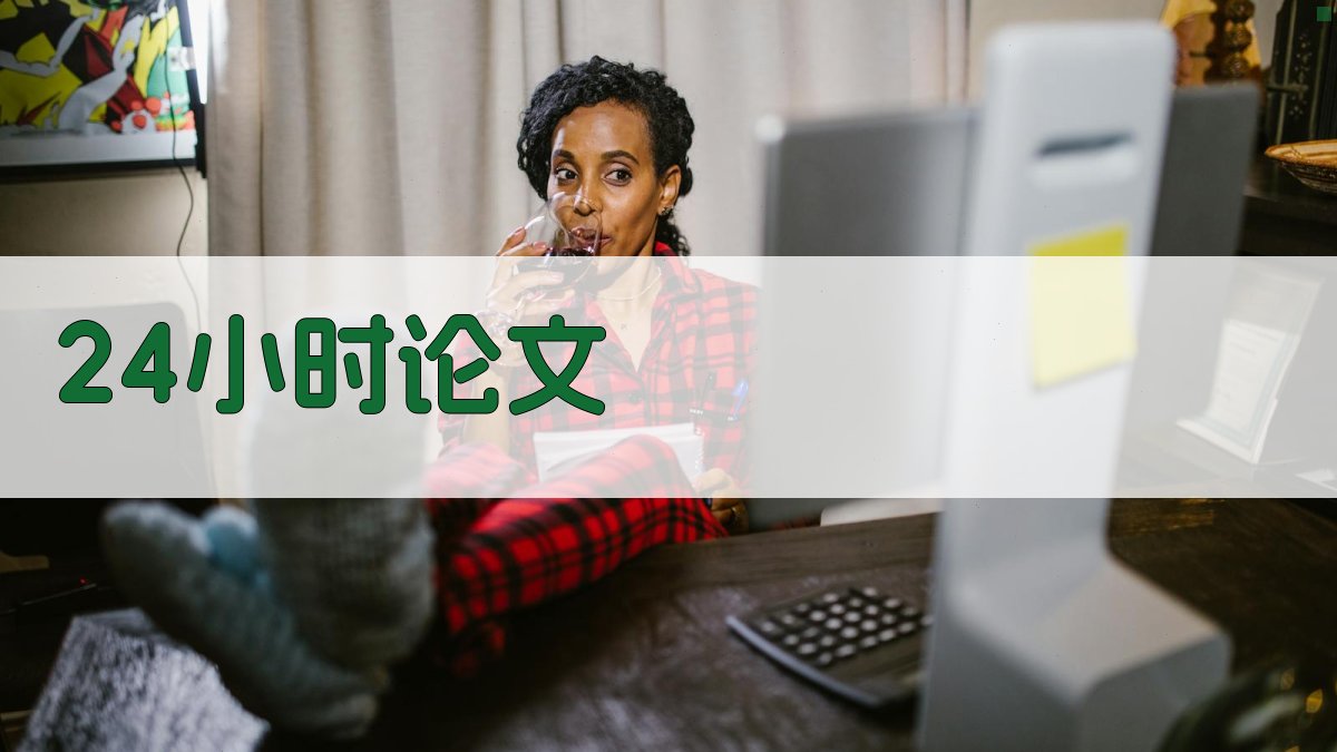 24小时论文