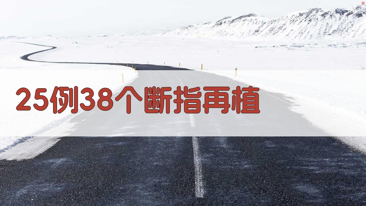 25例38个断指再植报告生成器