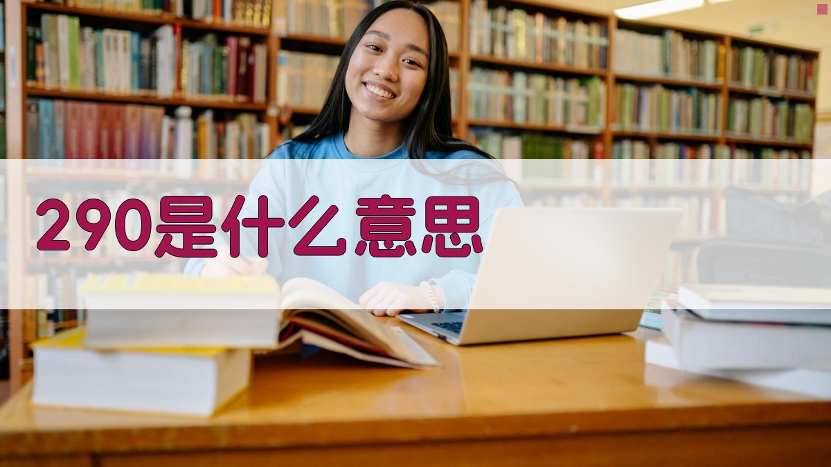 290是什么意思