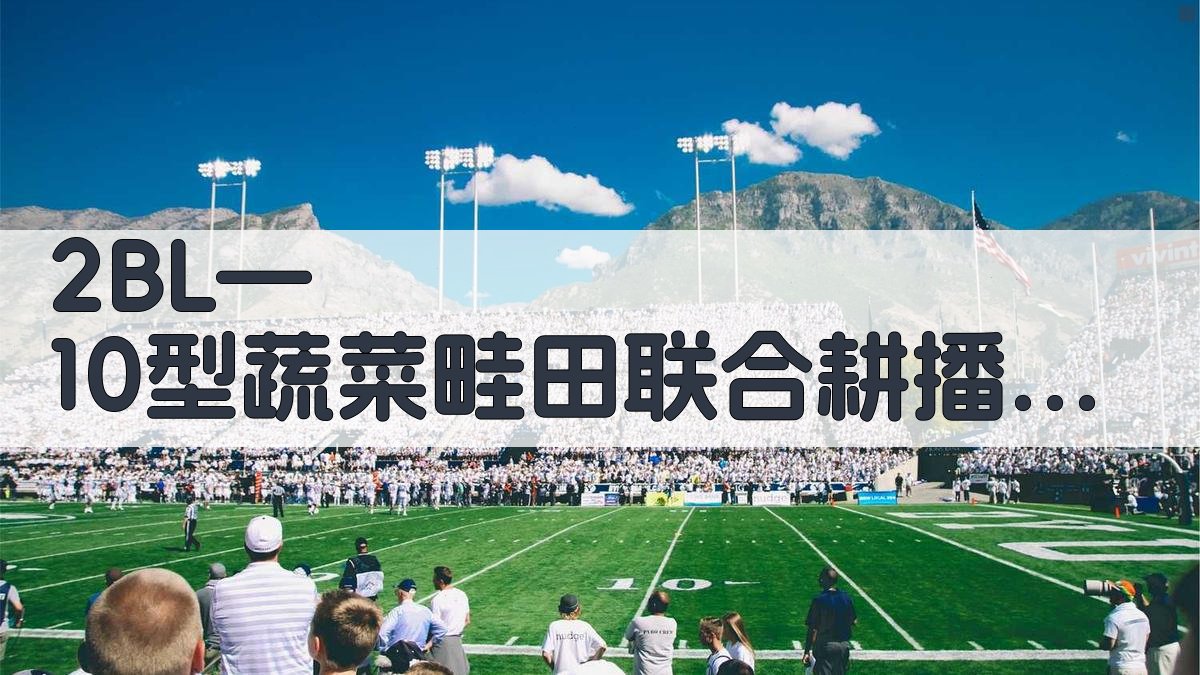 AI智能分析2BL—10型蔬菜畦田联合耕播机