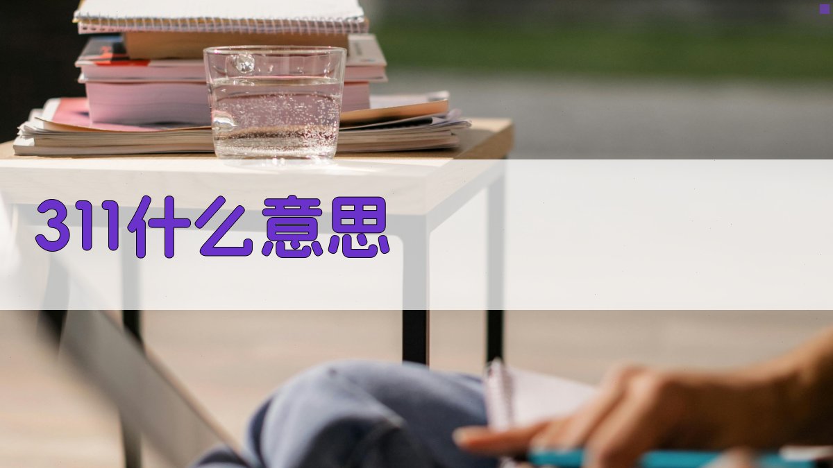 311什么意思