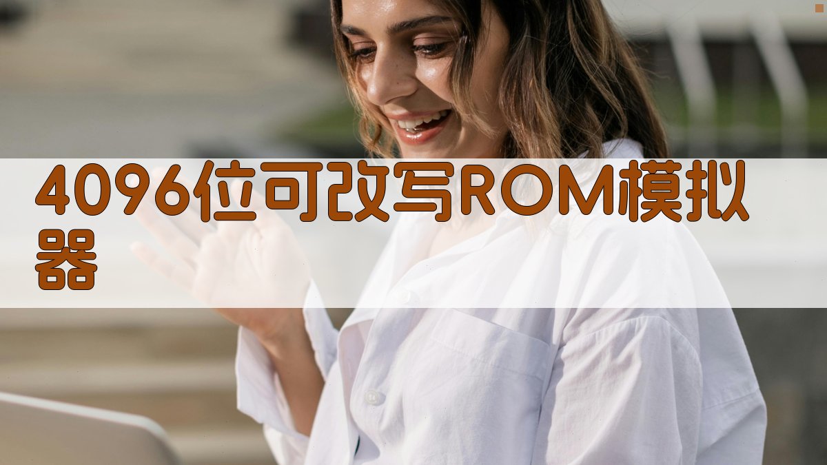 4096位可改写ROM模拟器