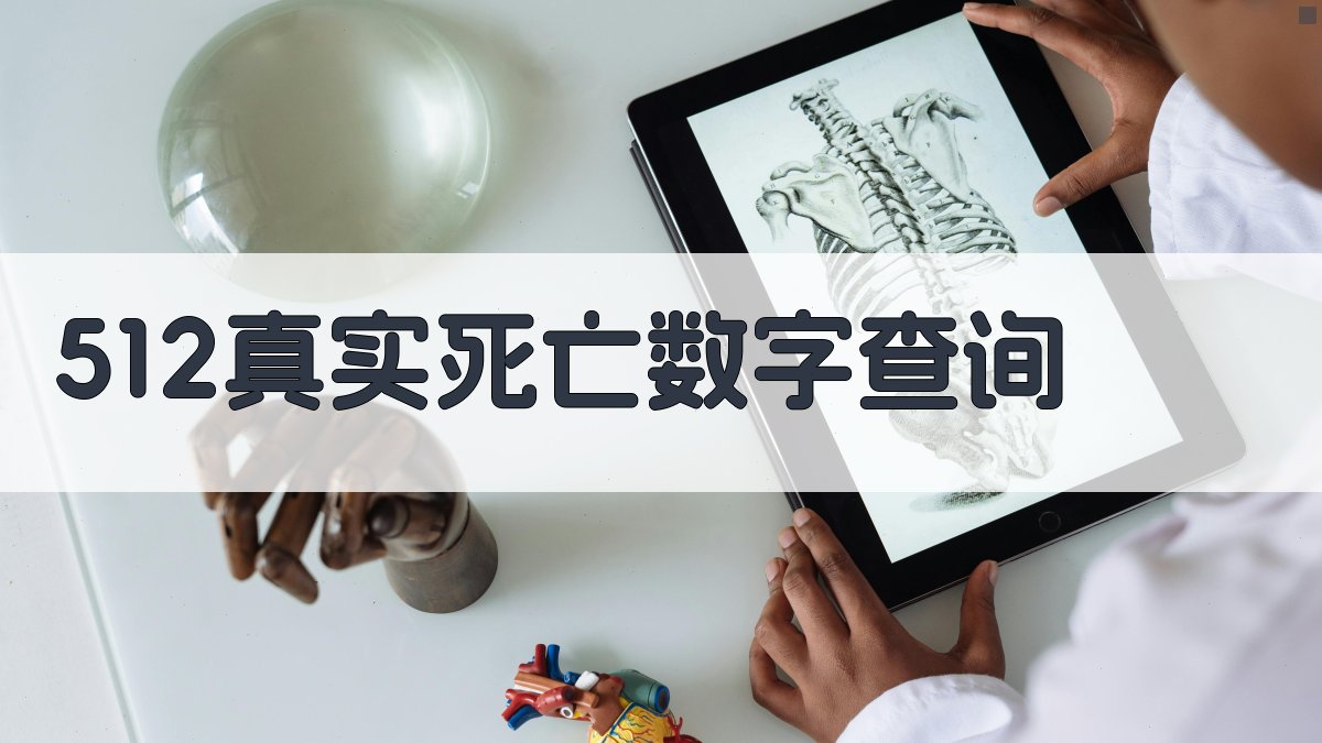 512真实死亡数字查询