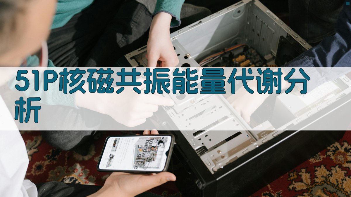 51P核磁共振能量代谢分析