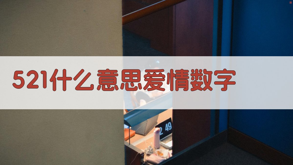 521什么意思爱情数字
