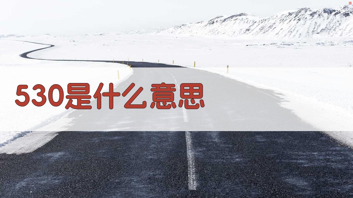 530是什么意思