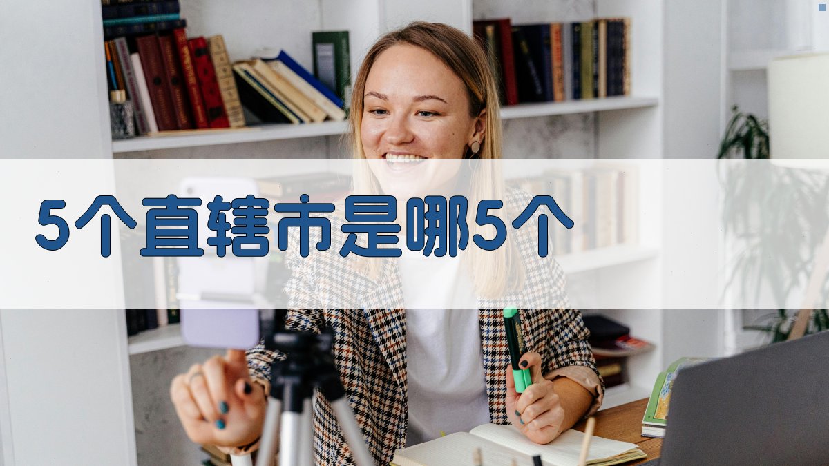 中国直辖市查询