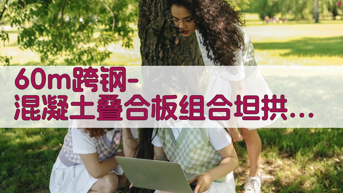 60m跨钢-混凝土组合坦拱设计研究助手