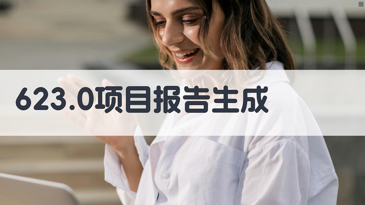 623.0项目报告生成