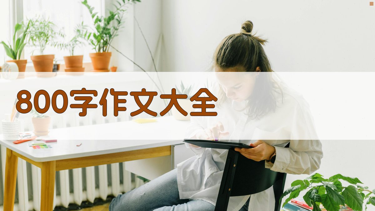 AI智能800字作文生成器