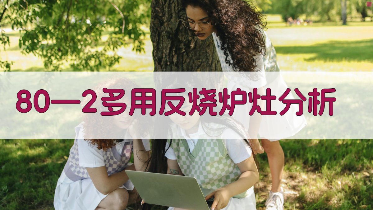 80—2多用反烧炉灶分析