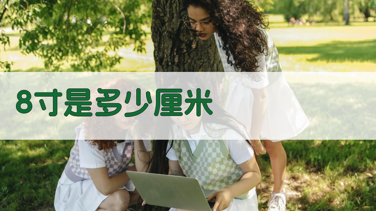 8寸是多少厘米