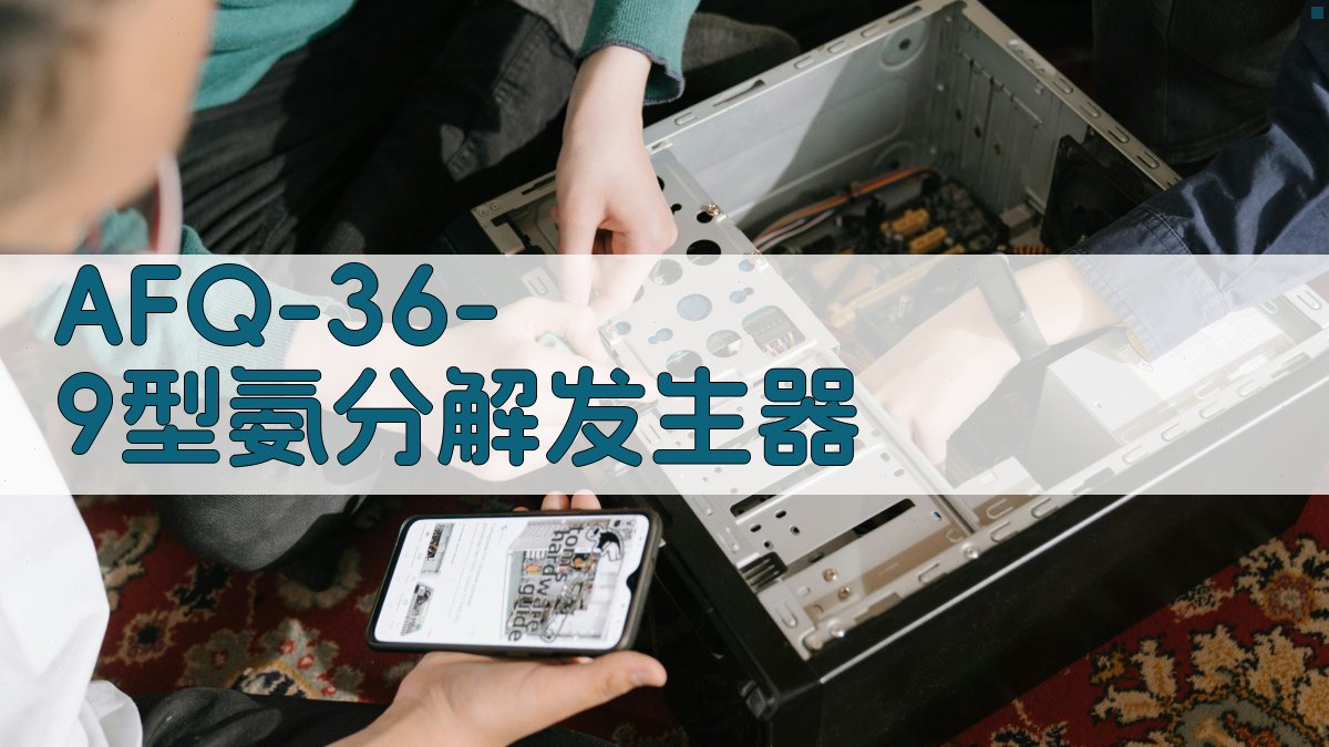 AFQ-36-9型氨分解发生器