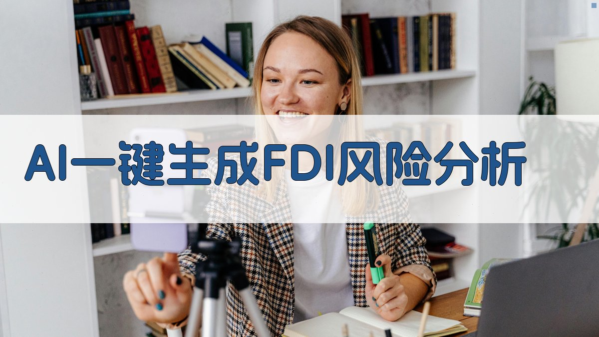 AI FDI风险分析