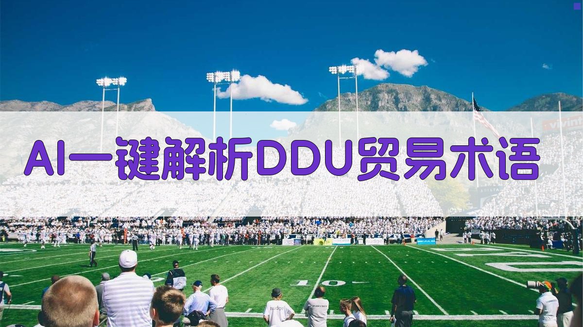 DDU贸易术语解析