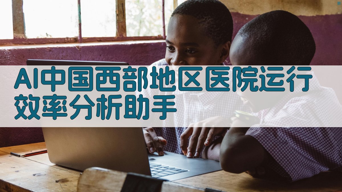 AI中国西部地区医院运行效率分析助手